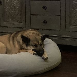 Meet your Posher, Tara